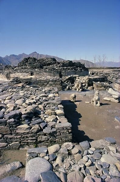 Butkara ruins