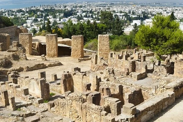 Byrsa Hill, Punic site at Carthage, UNESCO World Heritage Site, Tunis, Tunisia, North Africa, Africa