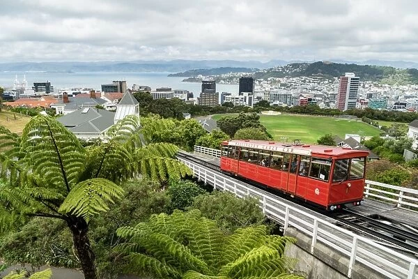 A cable car heads up the funicular railway high above Wellington, the capital city