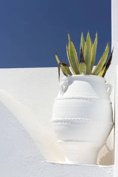 Framed Print : Cacti in whitewashed urn against white wall and blue sky, Imerovigli, Santorini, Cyclades Framed Print : Cacti in whitewashed urn against white wall and blue sky, Imerovigli, Santorini, Cyclades