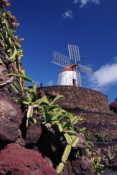Cacti and windmill at Jardinn de los Cactus, Cesar Manriques work of art