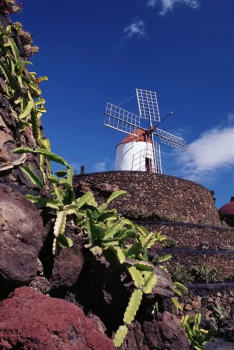 Framed Print : Cacti and windmill at Jardinn de los Cactus, Cesar Manriques work of art Framed Print : Cacti and windmill at Jardinn de los Cactus, Cesar Manriques work of art