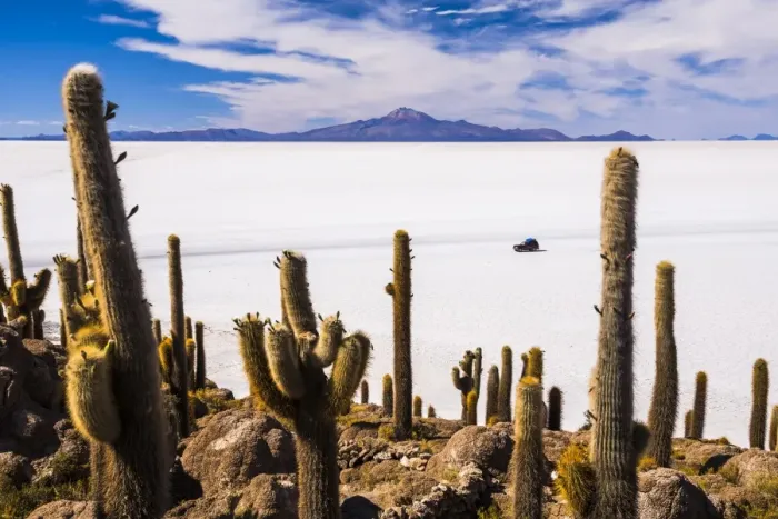 Framed Print : Cactus covered Fish Island (Isla Incahuasi) (Inka Wasi), Uyuni Salt Flats (Salar de Uyuni) Framed Print : Cactus covered Fish Island (Isla Incahuasi) (Inka Wasi), Uyuni Salt Flats (Salar de Uyuni)