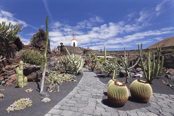 Cactus garden (Jardin de Cactus) by Cesar Manrique, wind mill, UNESCO Biosphere Reserve