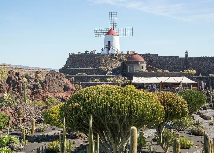 Framed Print : Cactus plants and windmill Jardin de Cactus designed by Cesar Manrique, Guatiza. Lanzarote, Canary Islands, Spain, Atlantic, Europe Framed Print : Cactus plants and windmill Jardin de Cactus designed by Cesar Manrique, Guatiza. Lanzarote, Canary Islands, Spain, Atlantic, Europe