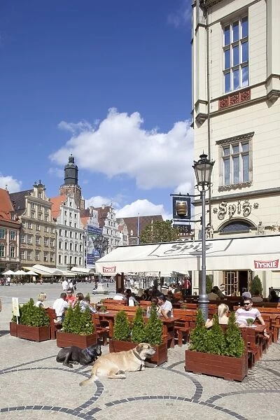Cafe in Market Square, Old Town, Wroclaw, Silesia, Poland, Europe
