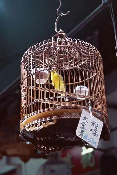 Caged birds for sale, Yuen Po Street Bird Garden, Mong Kok, Kowloon, Hong Kong