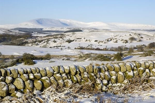 Cairnsmore of Fleet in winter snow, from Knocktinkle Viewpoint, Dumfries and Galloway, Scotland, United Kingdom, Europe