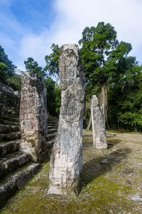 Framed Print : Calakmul, UNESCO World Heritage Site, Campeche, Mexico, North America Framed Print : Calakmul, UNESCO World Heritage Site, Campeche, Mexico, North America