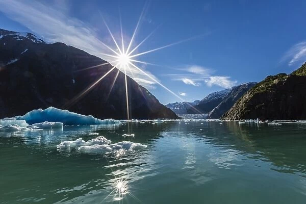 Calved glacier ice in Tracy Arm-Fords Terror Wilderness area, Southeast Alaska, United States of America, North America