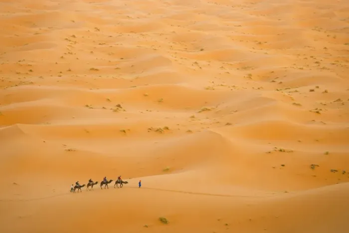 Framed Print : Camel caravan in Erg Chebbi Desert, Sahara Desert near Merzouga, Morocco, North Africa, Africa Framed Print : Camel caravan in Erg Chebbi Desert, Sahara Desert near Merzouga, Morocco, North Africa, Africa
