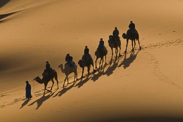 Camel caravan riding through the sand dunes of Merzouga, Morocco, North Africa, Africa