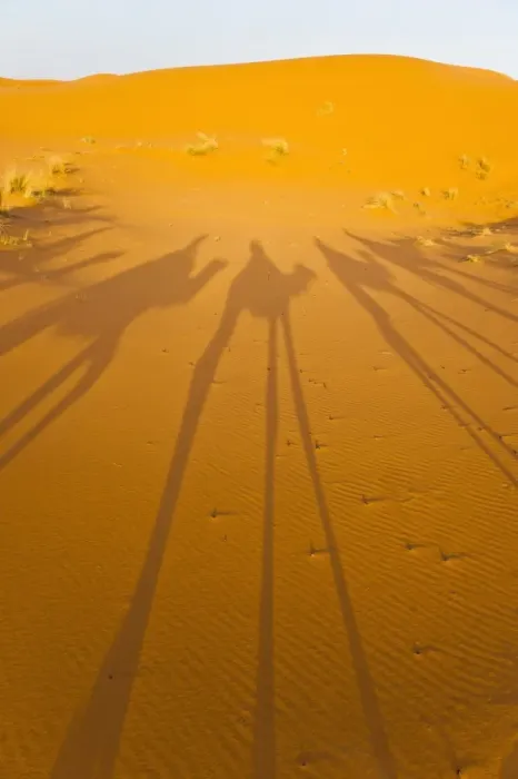 Framed Print : Camel caravan shadows, Erg Chebbi Desert, Sahara Desert near Merzouga, Morocco, North Africa, Africa Framed Print : Camel caravan shadows, Erg Chebbi Desert, Sahara Desert near Merzouga, Morocco, North Africa, Africa