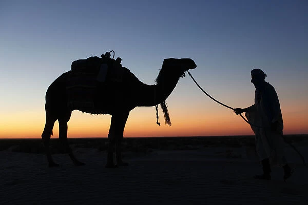 Camel driver at dusk in the Sahara desert, near Douz, Kebili, Tunisia, North Africa
