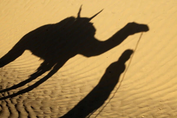 Camel drivers shadow in the Sahara desert, near Douz, Kebili, Tunisia, North Africa