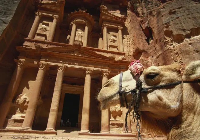Framed Print : Camel and Low Angle View of the Khazneh, Petra, Jordan Framed Print : Camel and Low Angle View of the Khazneh, Petra, Jordan