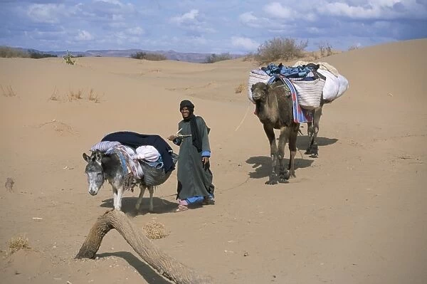 Camel man leading donkey and two camels on desert trek