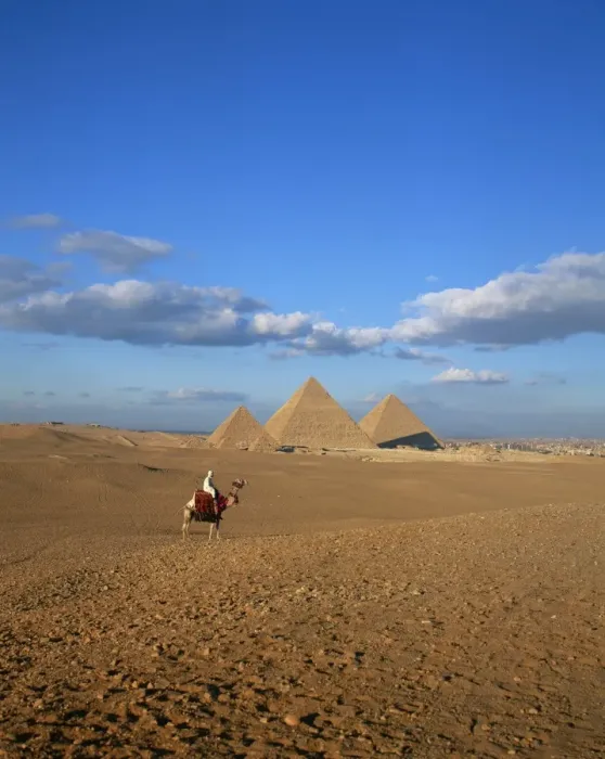 Framed Print : Camel rider at Giza Pyramids, Giza, UNESCO World Heritage Site, Cairo, Egypt Framed Print : Camel rider at Giza Pyramids, Giza, UNESCO World Heritage Site, Cairo, Egypt