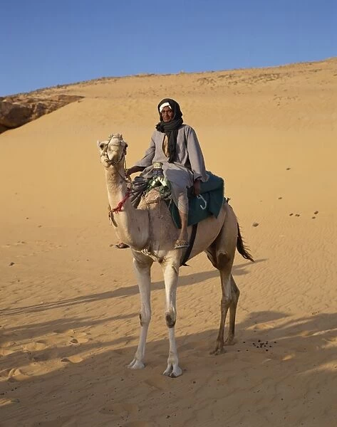 Camel rider, near Aswan, Egypt, North Africa, Africa