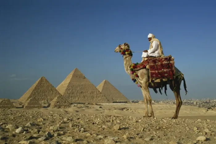 Framed Print : Camel and rider near the Pyramids, UNESCO World Heritage Site, Giza, Cairo Framed Print : Camel and rider near the Pyramids, UNESCO World Heritage Site, Giza, Cairo