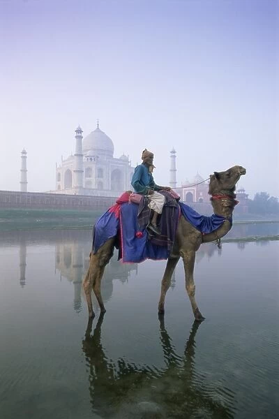 Camel and rider in front of the Taj Mahal and Yamuna (Jumna) River