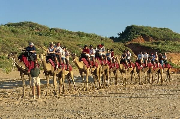 Camel rides, Cable Beach, Broome, Kimberley, Western Australia, Australia, Pacific