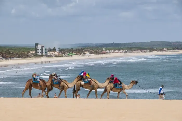 Framed Print : Camel riding in the famous sand dunes of Natal, Rio Grande do Norte, Brazil, South America Framed Print : Camel riding in the famous sand dunes of Natal, Rio Grande do Norte, Brazil, South America