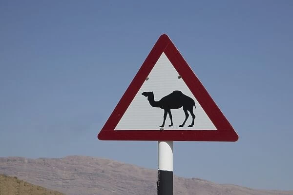 Camel road sign, Wahiba, Oman, Middle East