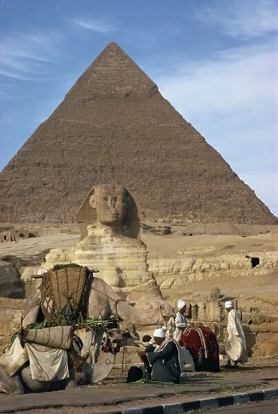 Camels and owners in front of the Sphinx and one of the pyramids at Giza