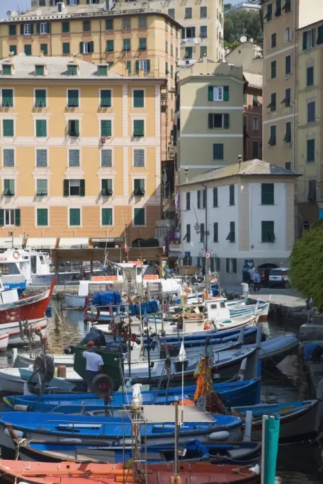 Framed Print : Camogli, Liguria, Italy, Europe Framed Print : Camogli, Liguria, Italy, Europe