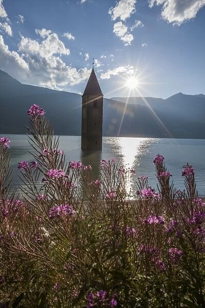 Campanile nel Lago di Resia, rising above Lago di Resia (Reschensee) (Lake Reschen), a reservoir beneath which are the submerged hamlets of Arlung, Piz, Gorf and Stockerhofe, South Tyrol, Italy, Europe
