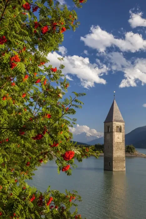 Framed Print : Campanile nel Lago di Resia, rising above Lago di Resia (Reschensee) (Lake Reschen), a reservoir beneath which are the submerged hamlets of Arlung, Piz, Gorf and Stockerhofe, South Tyrol, Italy, Europe Framed Print : Campanile nel Lago di Resia, rising above Lago di Resia (Reschensee) (Lake Reschen), a reservoir beneath which are the submerged hamlets of Arlung, Piz, Gorf and Stockerhofe, South Tyrol, Italy, Europe