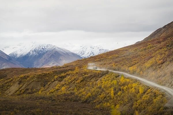 Camper buses driving into the heart of Denali National Park, Alaska, United States of America
