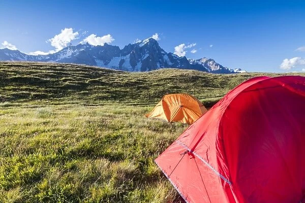 Camping tents in the green meadows with Mont De La Saxe in the background, Courmayeur