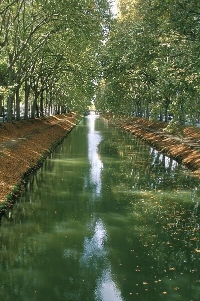 Canal de Brienne, town of Toulouse, Haute Garonne, Midi-Pyrenees, France, Europe