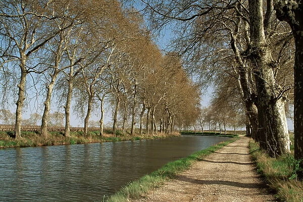 Canal du Midi, near Capestang, Languedoc-Roussillon, France, Europe