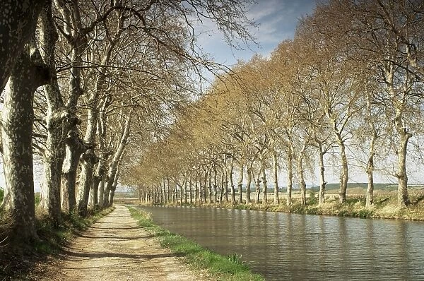The Canal du Midi, near Capestang, Languedoc Roussillon, France, Europe