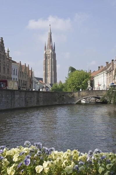 Canal scene with the spire of the Church of Our Lady, Brugge, Belgium, Europe