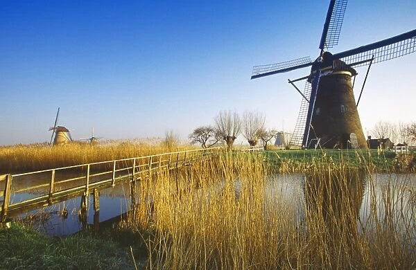 Canal and windmills at Kinderdijk, UNESCO World Heritage Site, Holland, Europe