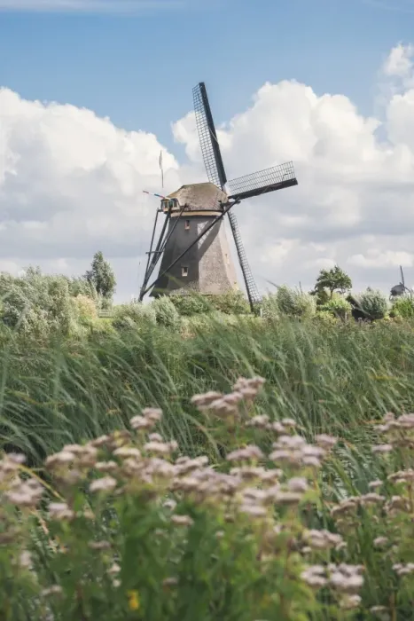 Framed Print : Canal and windmills, Kinderdijk, UNESCO World Heritage Site, South Holland, The Netherlands, Europe Framed Print : Canal and windmills, Kinderdijk, UNESCO World Heritage Site, South Holland, The Netherlands, Europe