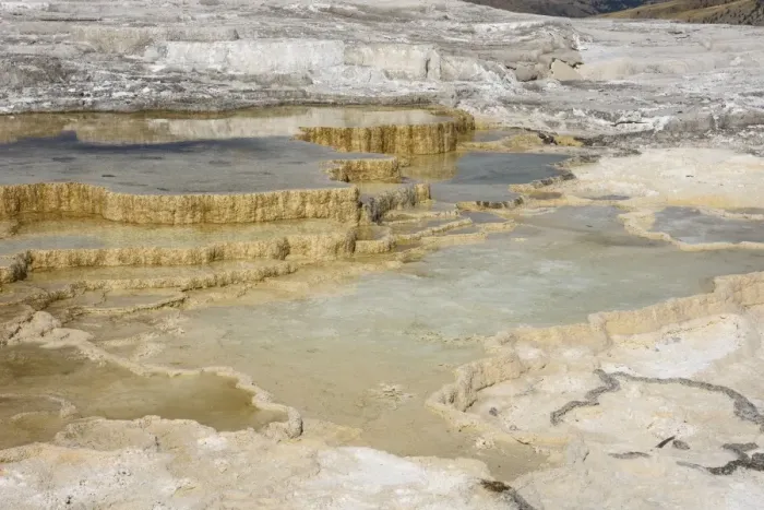 Framed Print : Canary Spring, Travertine Terraces, Mammoth Hot Springs, Yellowstone National Park Framed Print : Canary Spring, Travertine Terraces, Mammoth Hot Springs, Yellowstone National Park