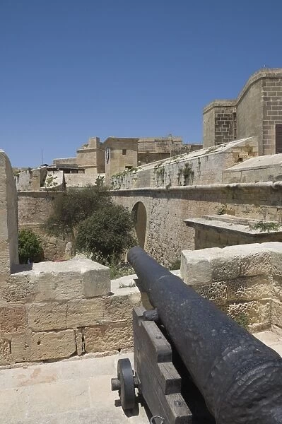 Cannon on the ramparts, The Citadel, Victoria (Rabat), Gozo, Malta, Europe