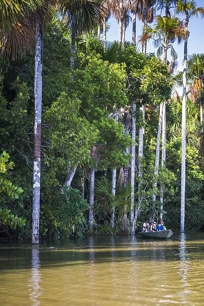 Canoe boat trip on Sandoval Lake, Tambopata National Reserve, Amazon Jungle of Peru