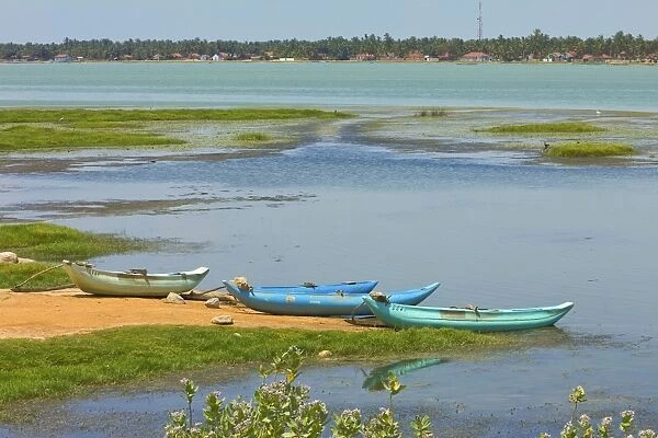 Canoes by Arugam Lagoon, known for its wildlife, Pottuvil, Arugam Bay, Eastern Province, Sri Lanka, Asia