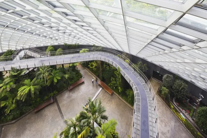 Framed Print : Canopy walkway, Gardens by the Bay, Cloud Forest, botanic garden, Singapore, Southeast Asia, Asia Framed Print : Canopy walkway, Gardens by the Bay, Cloud Forest, botanic garden, Singapore, Southeast Asia, Asia
