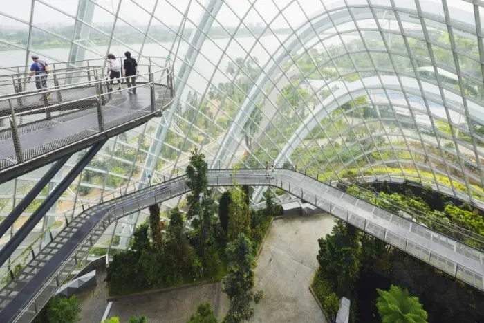 Framed Print : Canopy walkway, Gardens by the Bay, Cloud Forest, botanic garden, Singapore, Southeast Asia, Asia Framed Print : Canopy walkway, Gardens by the Bay, Cloud Forest, botanic garden, Singapore, Southeast Asia, Asia