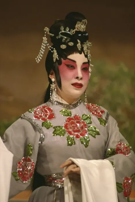 Framed Print : Cantonese opera, Hong Kong, China, Asia Framed Print : Cantonese opera, Hong Kong, China, Asia