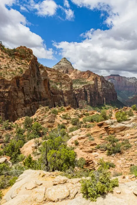 Framed Print : Canyon overlook, Zion National Park, Utah, United States of America, North America Framed Print : Canyon overlook, Zion National Park, Utah, United States of America, North America