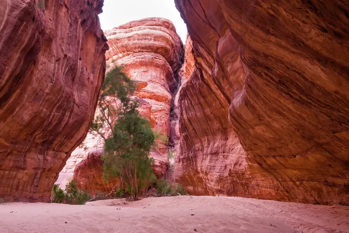 Framed Print : Canyon with sandstone walls in the Sharaan Nature Reserve, AlUla, Medina Province, Saudi Arabia
