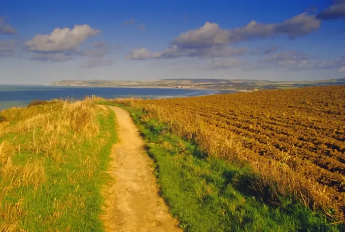 Framed Print : Cap de Gris-Nez, Pas-de-Calais, Nord-Picardie (Picardy), France, Europe Framed Print : Cap de Gris-Nez, Pas-de-Calais, Nord-Picardie (Picardy), France, Europe